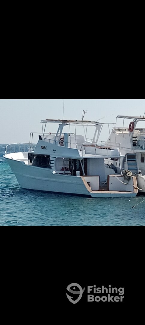 Hurghada Report Photo 0