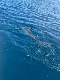 San Jose del Cabo Report Photo 2