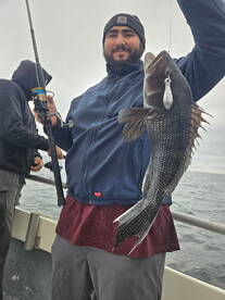 Little Compton Report Photo 2