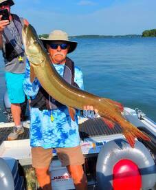 The Musky bite is on!