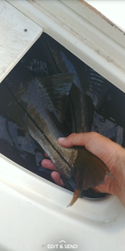 Port Orange Report Photo 1