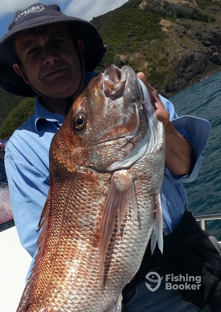 Paihia Report Photo 0