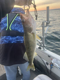 Buffalo Report Photo 2