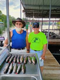 Another afternoon trip. 