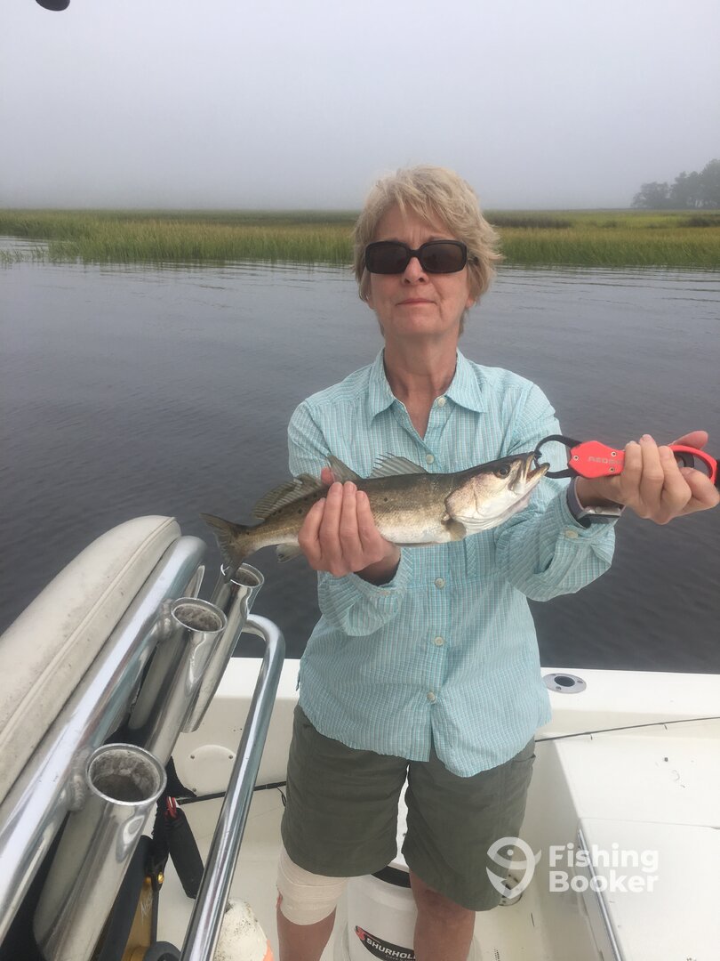 Mount Pleasant Report Photo 0