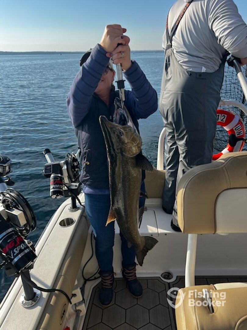 Traverse City Report Photo 0