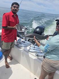 Excellent day, eight albacores and two m