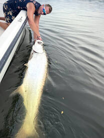Insane tarpon action!