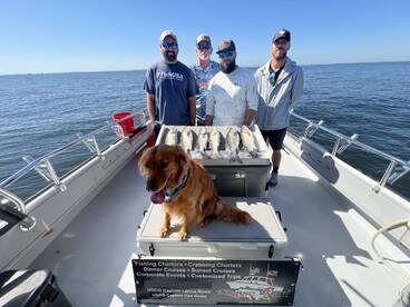 Rock Hall Report Photo 2