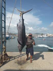 Mucho Blue Marlins and Tunas