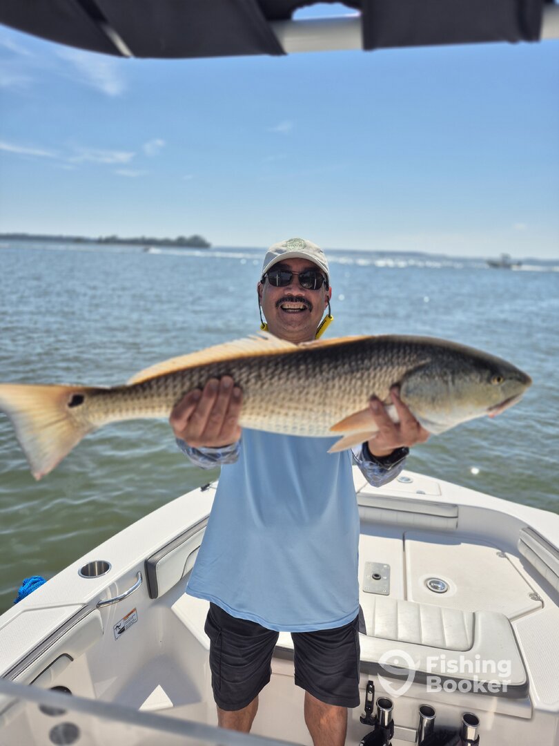 Hilton Head Island Report Photo 0