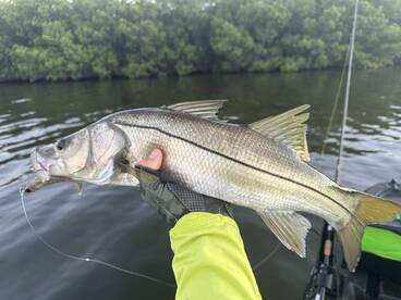 Grant-Valkaria Report Photo 1