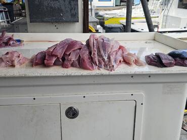 Islamorada Report Photo 1