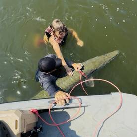 Another trip of a lifetime  