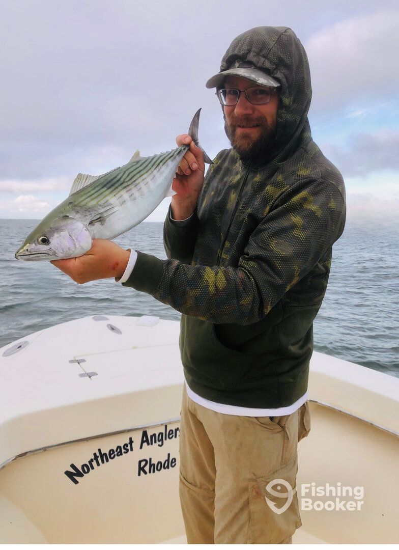 Narragansett Report Photo 0