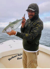 Spanish Mac, False Albacore, Green Bonit