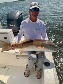 Bull Reds are CHEWING!