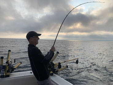 Leland Report Photo 4