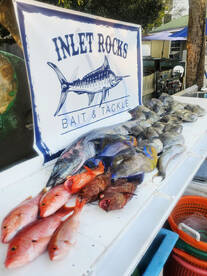 North Myrtle Beach Report Photo 1