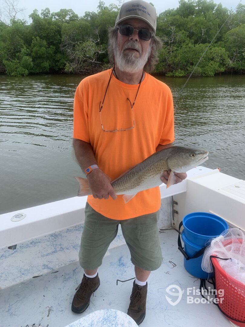 Bonita Springs Report Photo 0