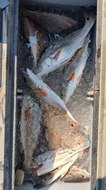 Darien Report Photo 2