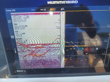 Gainesville Report Photo 1