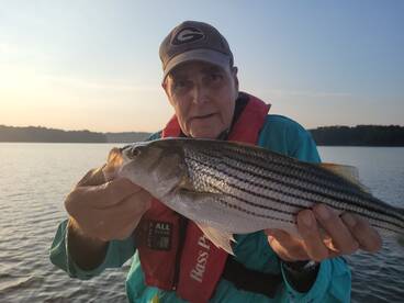 Gainesville Report Photo 2