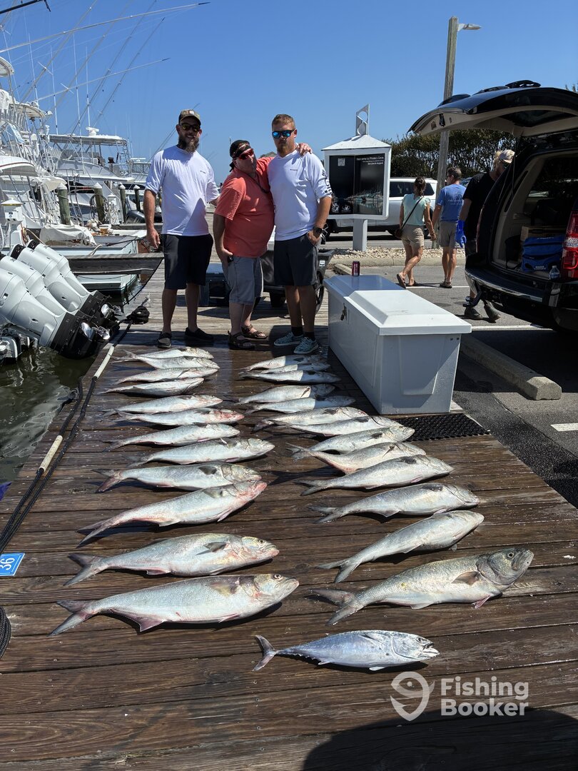 Manteo Report Photo 0