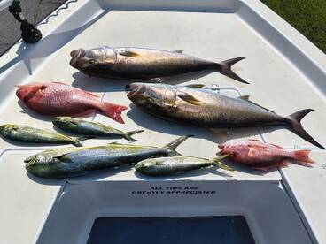 Redsnapper fall season every Friday Satu