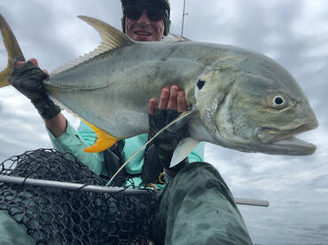 Early Morning Action