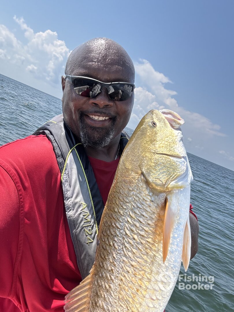 Port Arthur Report Photo 0