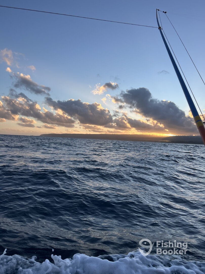 Haleiwa Report Photo 0