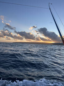 Bait is here - Mahi chasing em