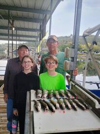 Early morning/Afternoon Today 