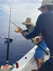 Late Mahi and Billfish bite