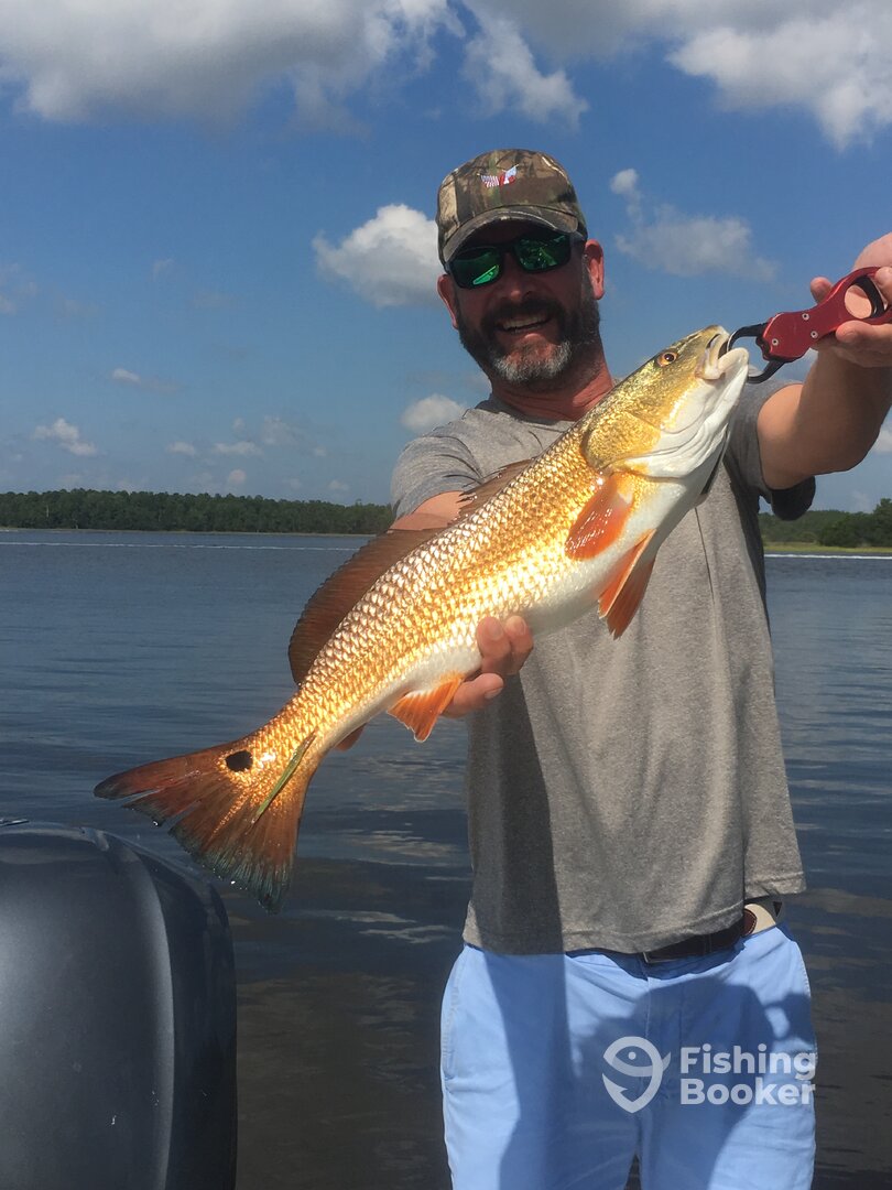 Mount Pleasant Report Photo 0