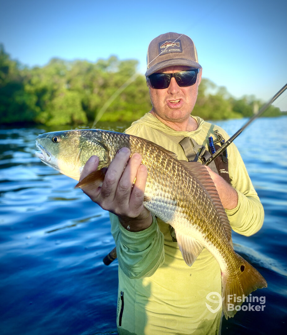 Palmetto Report Photo 0