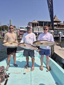 Amberjacks on Fire again