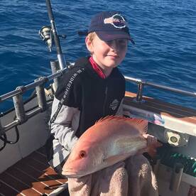 Airlie Beach Report Photo 1