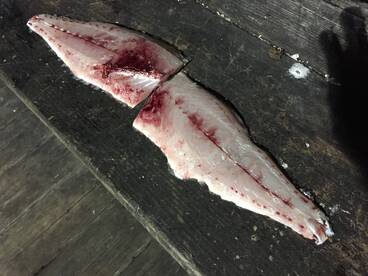 Port Orange Report Photo 2