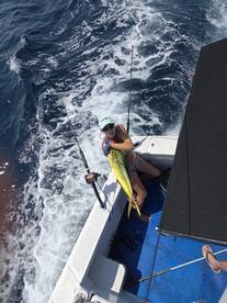 Niceville Report Photo 1