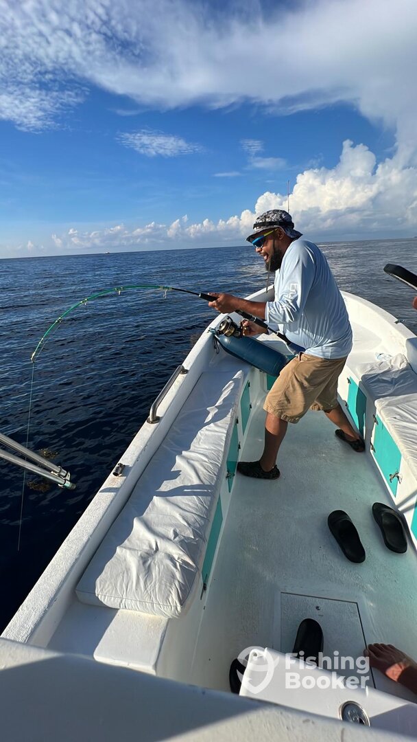 Playa Del Carmen Report Photo 0