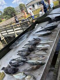 6hr bottom and trolling