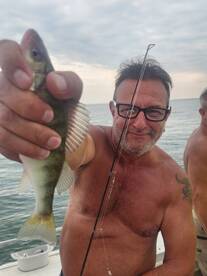 Oak Harbor Report Photo 4