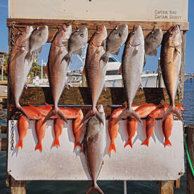 Destin Report Photo 2