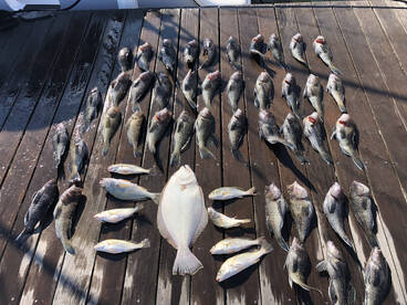 Rehoboth Beach Report Photo 2