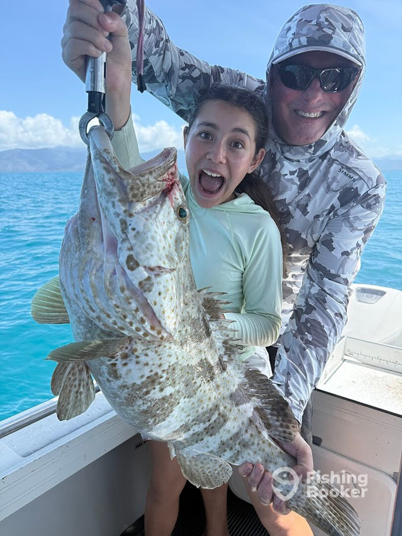 Port Douglas Report Photo 0