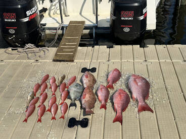 Panama City Beach Report Photo 2