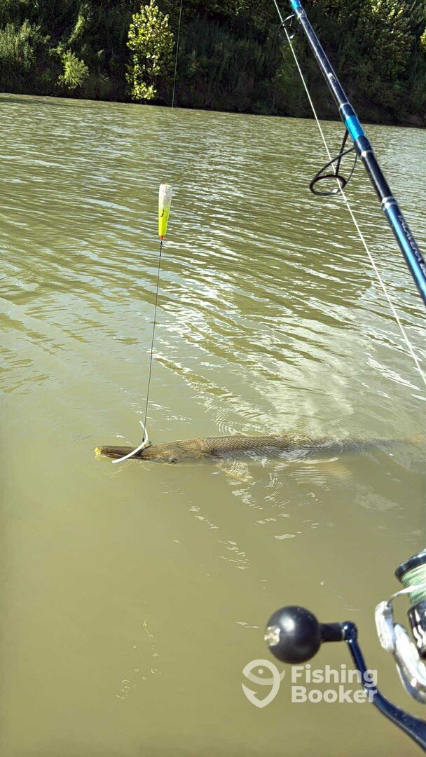 Wadsworth Report Photo 0