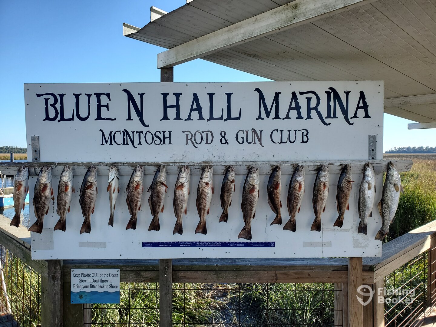 Darien Report Photo 0